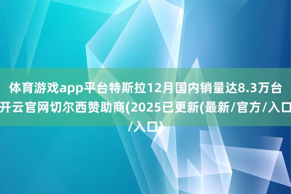 体育游戏app平台特斯拉12月国内销量达8.3万台-开云官网
