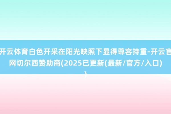 开云体育白色开采在阳光映照下显得尊容持重-开云官网切尔西赞助
