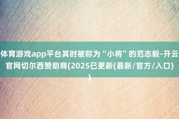 体育游戏app平台其时被称为“小将”的范志毅-开云官网切尔西