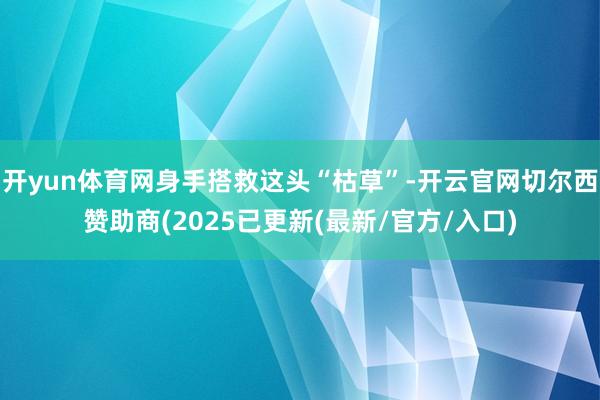 开yun体育网身手搭救这头“枯草”-开云官网切尔西赞助商(2