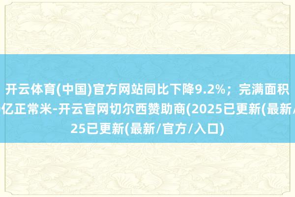 开云体育(中国)官方网站同比下降9.2%；完满面积聚计为2.