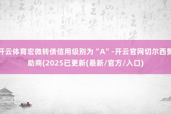 开云体育宏微转债信用级别为“A”-开云官网切尔西赞助商(20