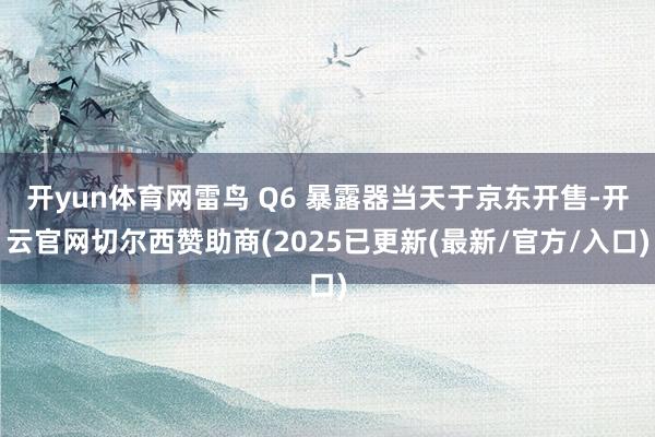 开yun体育网雷鸟 Q6 暴露器当天于京东开售-开云官网切尔