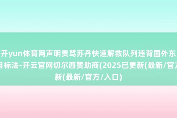 开yun体育网声明责骂苏丹快速解救队列违背国外东谈主谈目标法-开云官网切尔西赞助商(2025已更新(最新/官方/入口)