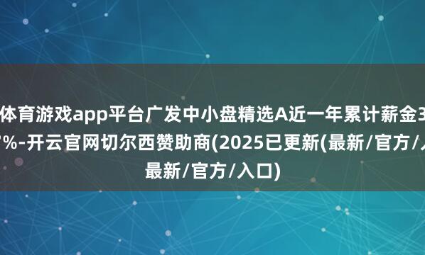 体育游戏app平台广发中小盘精选A近一年累计薪金31.97%-开云官网切尔西赞助商(2025已更新(最新/官方/入口)