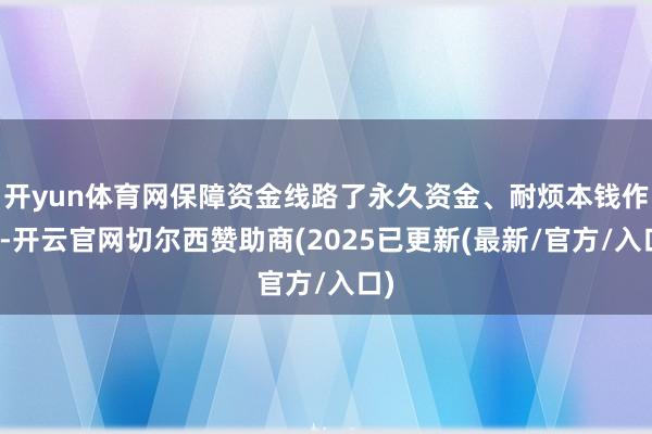 开yun体育网保障资金线路了永久资金、耐烦本钱作用-开云官网切尔西赞助商(2025已更新(最新/官方/入口)